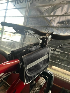 Carterita stem