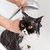Baño para gato