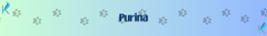 Banner de la categoría PURINA
