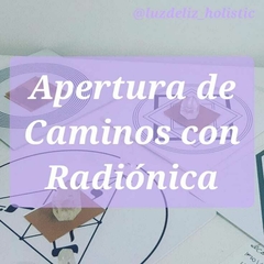 APERTURA DE CAMINOS - OBJETIVO PUNTUAL