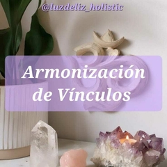ARMONIZACION DE VINCULOS
