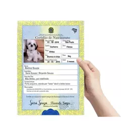 RG + CERTIDÃO ANIMAL Plastificada - Bucle