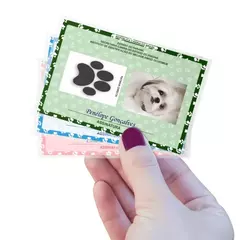 RG + CERTIDÃO ANIMAL Plastificada na internet