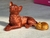 PETS 3D - Petit Memories