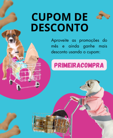 Carrossel 1