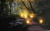 Cuadro con luces led Sendero Iluminado 40 x 60 cm - comprar online