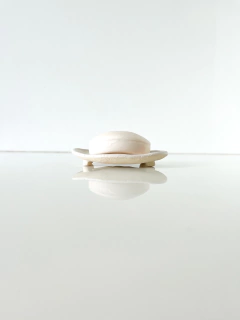 Saboneteira na internet