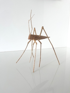 Grilo