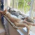 Rede para gatos ou cães de pequeno porte - Market Craze