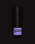 Lavender Private Blend Unisex - comprar online