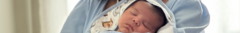 Banner da categoria TOALHAS DE BANHO 