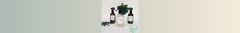 Banner de la categoría Aromatizantes