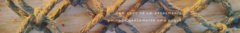Banner da categoria Acessórios