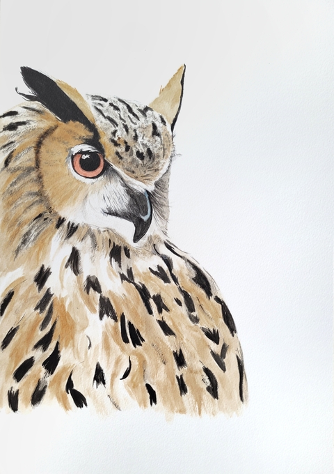 Owl half profile