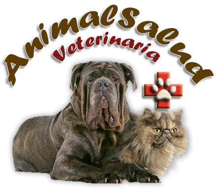 Animal Salud Veterinaria
