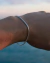 Pulsera Venus Silver en internet