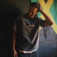 Basic II Heavy Over Tee na internet