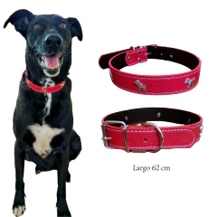 Collar Grande - tienda en línea