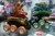 (606) - Auto loco dragon monster truck