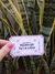 Cupones de amor - tienda online