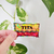 TITA - comprar online