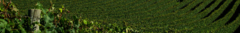 Banner da categoria Brasil