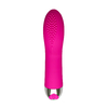 01753 | Vibrador personal recarregável com 10 modos de vibração - YOUVIBE