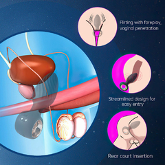 02548 | Plug Anal em Silicone com 9 Modos de Vibração e rotação,e Controle Remoto sem Fio - VIPMIX - E-VARIEDADES