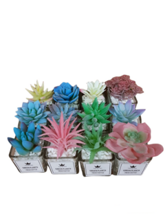 Pack X12 Plantas Artificial en Maceta Vidrio Cactus Suculenta en internet