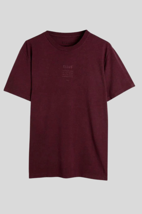 Camiseta Masculina Algodão Fino TMLSS Clássico Ellus - Pistaxe Modas