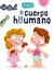 100 preguntas y respuestas - El cuerpo humano - Dial Book - comprar online