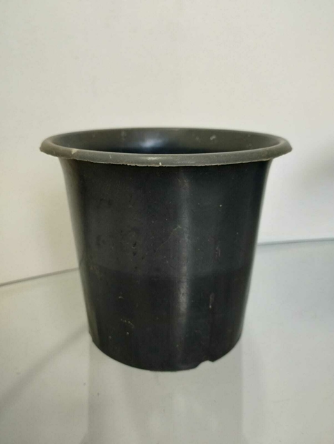 Vaso Pote 11