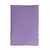 Imagem do PASTA DELLO ABA ELASTICO FULL COLOR 1/2 OF FINA