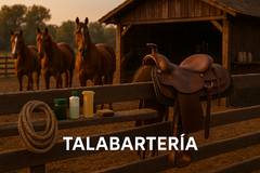 Banner de la categoría Talabarteria