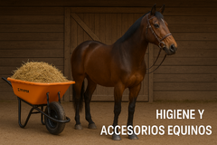 Banner de la categoría Higiene y Accesorios Equinos