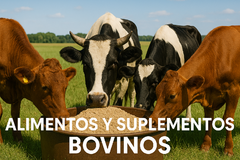 Banner de la categoría Alimentos y Sup. Bovinos