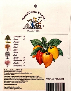 SEMILLAS DE HABANERO PICANTE EXOTICO HUERTA en internet