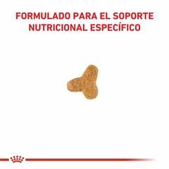 Alimento Gastrointestinal Feline - 2 KgRoyal Canin en internet