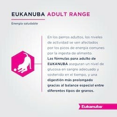 Eukanuba Adult Large Breed x 3 kgs. en internet