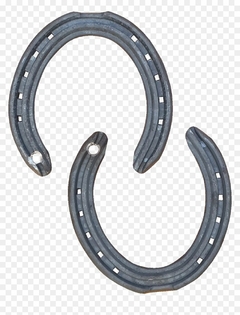 HERRADURA VAREO/POLO PATA C/CLIP Y ROSCA N 2 /PAR- MUSTAD