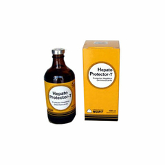 HEPATO PROTECTOR-T X 100 ML (NORT)