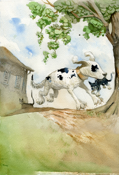 Livro História brasileira de cães com dedicatória exclusiva em aquarela - Aqualelis