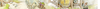 Banner de Aqualelis