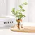 Vaso de Flores de Vidro: Elegância e Charme para sua Decoração - comprar online