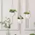Corda de Macramê para Vaso de Flores: Estilo Boho para Sua Decoração na internet