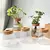Vaso de Flores de Vidro: Elegância e Charme para sua Decoração