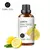 Óleos Essenciais Evoke: Aromaterapia para Relaxamento e Bem-estar - comprar online