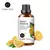 Óleos Essenciais Evoke: Aromaterapia para Relaxamento e Bem-estar - Galassatti Home & Decor