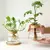 Vaso de Flores de Vidro: Elegância e Charme para sua Decoração - Galassatti Home & Decor