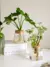 Vaso de Flores de Vidro: Elegância e Charme para sua Decoração - Galassatti Home & Decor